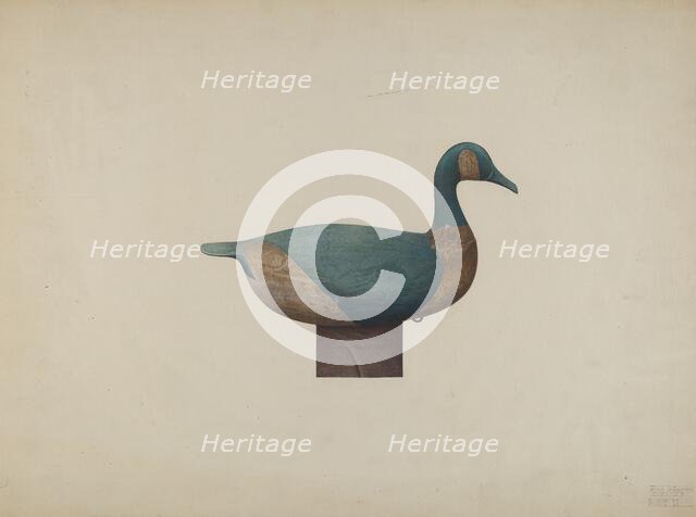 Decoy Duck, c. 1939. Creator: John Sullivan.