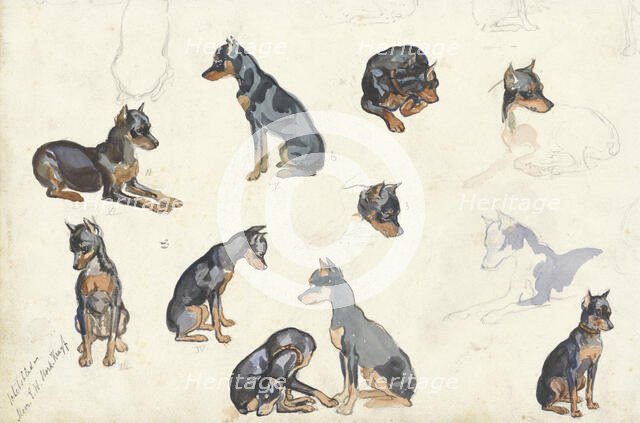 Studies of a dog, 1880-1946. Creator: Anna Maria Kruijff.