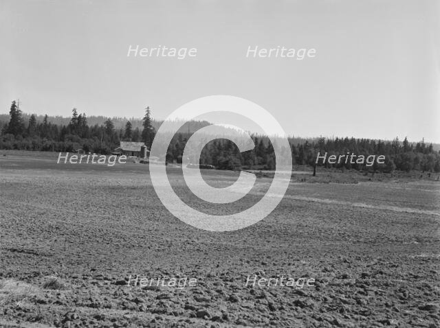 The Nieman farm showing cleared land on..., near Vader,  Lewis County, Western Washington, 1939. Creator: Dorothea Lange.
