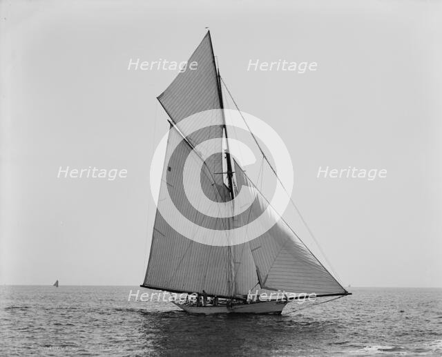 Mineola, Corinthian Sweepstakes, August 17, 1891, 1891 Aug 17. Creator: Unknown.