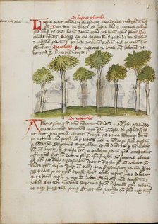 A Forest; Fables, third quarter of 15th century. Creator: Unknown.