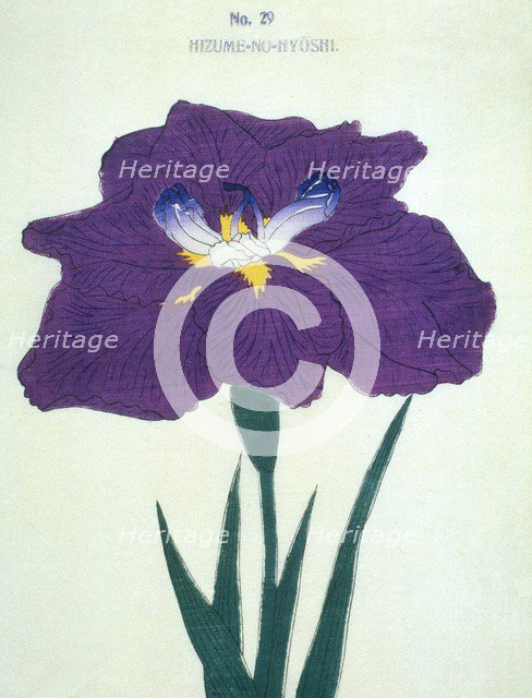 Hizume-No-Hyoshi, No 29.