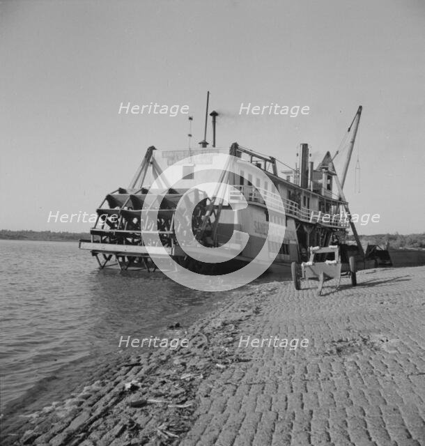 Stern wheeler pulled up to the municipal levee at Greenville, Mississippi, 1937. Creator: Dorothea Lange.