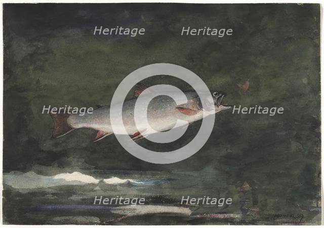 Leaping Trout, 1889. Creator: Winslow Homer (American, 1836-1910).