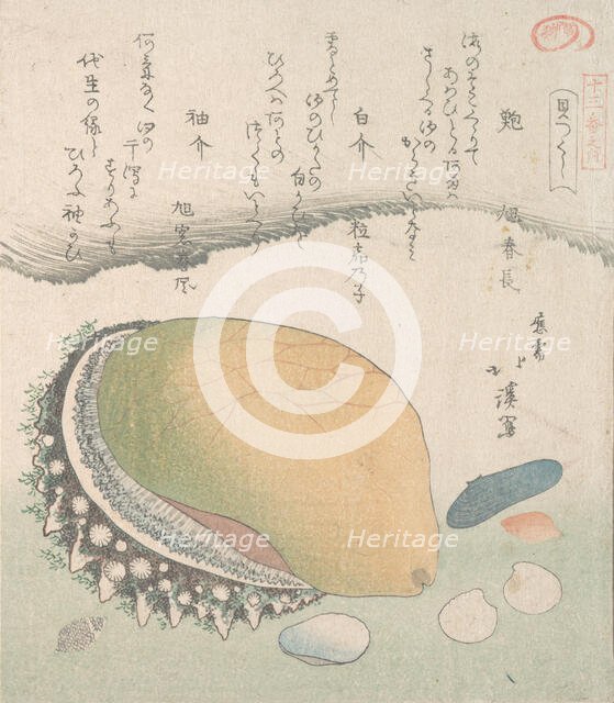 Awabi (Ear-Shell) and Various Shells, 19th century. Creator: Totoya Hokkei.