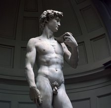 Michelangelo's David. Artist: Michelangelo Buonarroti