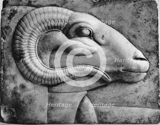 A ram's head, Egypt, 1936. Artist: Unknown