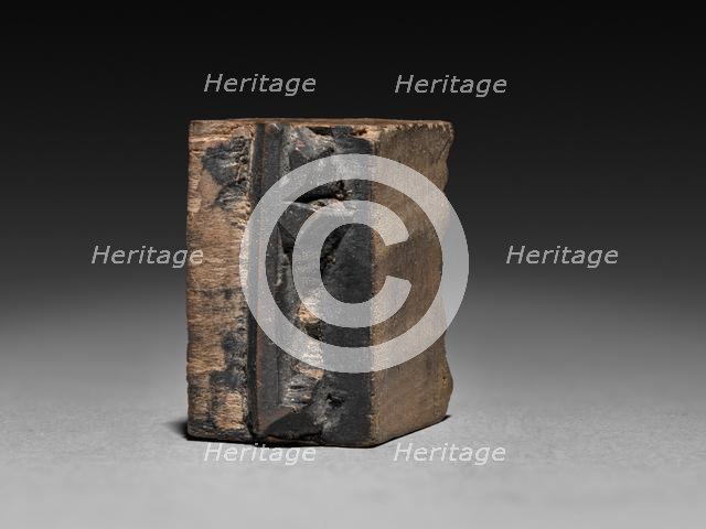 Wooden Moveable Type, probably 1800s. Creator: Unknown.