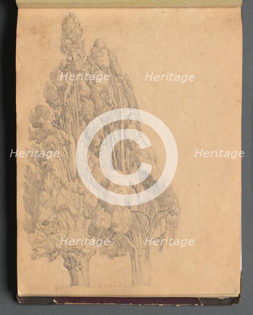 Album with Views of Rome and Surroundings, Landscape Studies, page 13a: Trees. Creator: Franz Johann Heinrich Nadorp (German, 1794-1876).