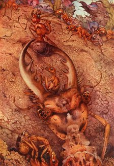 'The Ant Lion', 1914. DELETE - artist in copyright Creator: Edward Julius Detmold.