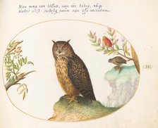 Animalia Volatilia et Amphibia (Aier): Plate LIV, c. 1575/1580. Creator: Joris Hoefnagel.