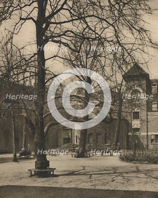 'Under the Elms in the Courtyard of Middlesex Hospital', c1935. Creator: Joel.