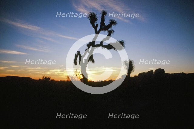 Reach. Creator: Robert Manno.