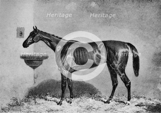 'Virago', 1851-1869, (1911). Artist: Unknown.