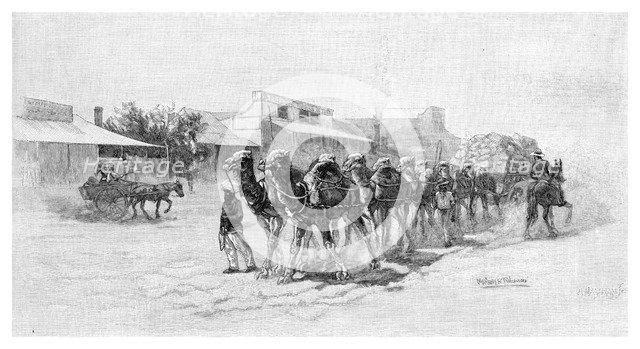 Camel team, Wilcannia, New South Wales, Australia, 1886. Artist: Unknown