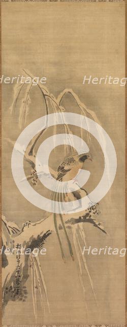 Chinese Bird on Snow-Laden Branch, 17th century. Creator: Kano Tan?y? (Japanese, 1602-1674).