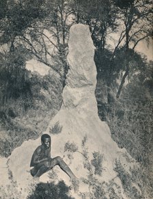 'One of the Giant Ant Heaps peculiar to some districts of South Africa', c1900. Creator: Unknown.