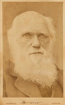 Portrait of Charles Darwin (1809-1882), 1881. Creator: Barraud, Herbert Rose (1845-1896).