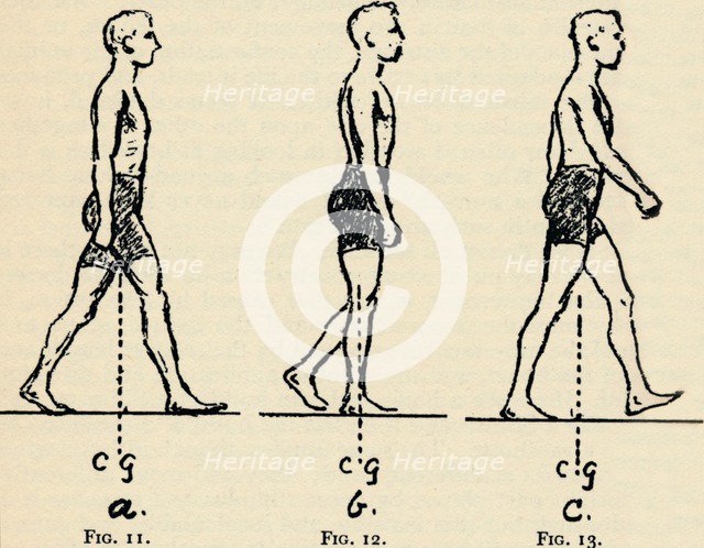 Depicting Main Principles of Locomotion, 1940. Artist: Unknown