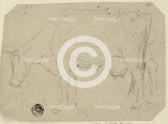 Cow Grazing (recto); Head of an Animal (verso), n.d. Creator: Unknown.