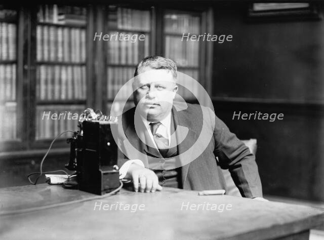Democratic National Convention - Robert Crain of Baltimore, 1912. Creator: Harris & Ewing.