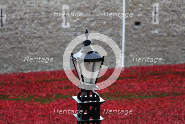 'Blood Swept Lands and Seas of Red', Tower of London, 2014.  Artist: Sheldon Marshall