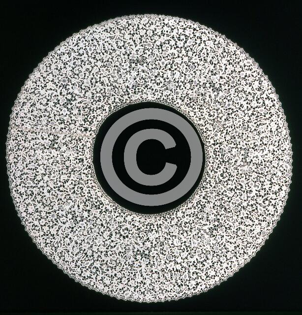 Bertha, Burano, Late 1890s. Creator: Unknown.