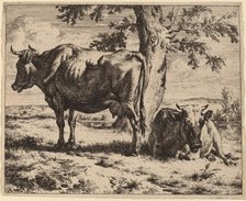 Two Cows under a Tree, c. 1670. Creator: Adriaen van de Velde.