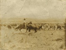 Cutting out from the herd, 1907. Creator: Smith, Erwin Evans (1886-1947).
