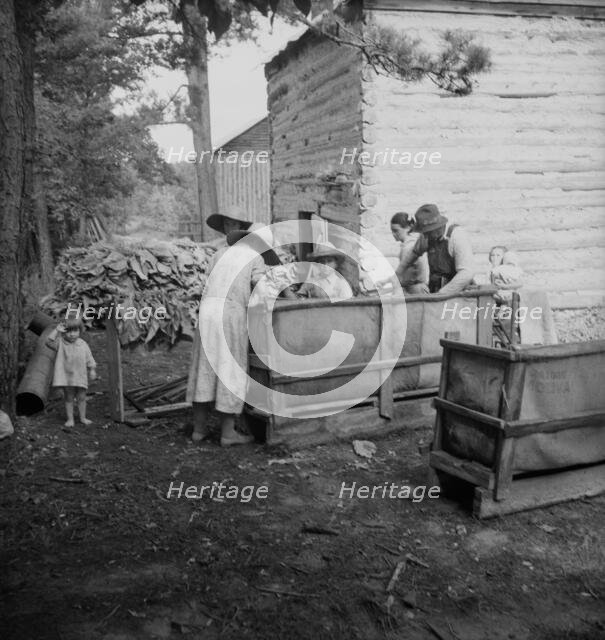 Wives of tobacco tenants pile the tobacco..., Granville County, North Carolina, 1939. Creator: Dorothea Lange.