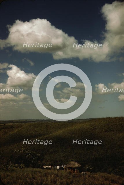 Sugar cane land, vicinity of Rio Piedras, Puerto Rico, 1941. Creator: Jack Delano.