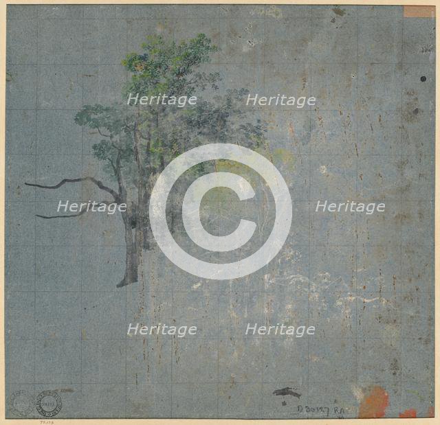 Tree Studies, first half 1800s. Creator: Johann Jacob Dorner (German, 1775-1852).