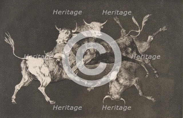 Plate D from the 'Disparates': Fools-'or Little Bulls' - fo..., ca. 1816-23 (published before 1877). Creator: Francisco Goya.