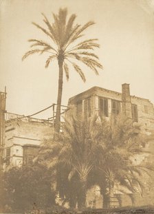 Dattiers et Maison du quartier Franc, au Kaire, December 1849-January 1850. Creator: Maxime du Camp.