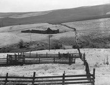 Desert stock farm, south central Washington, in region where much land has been overgrazed, 1939. Creator: Dorothea Lange.
