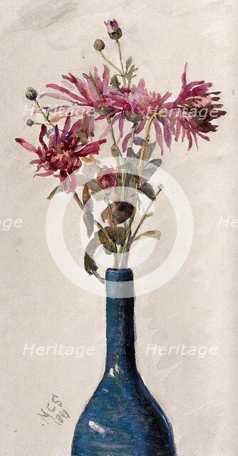 Pink flowers, possibly chrysanthemums, arranged in a bottle, 1898. Creator: Marie Stopes.