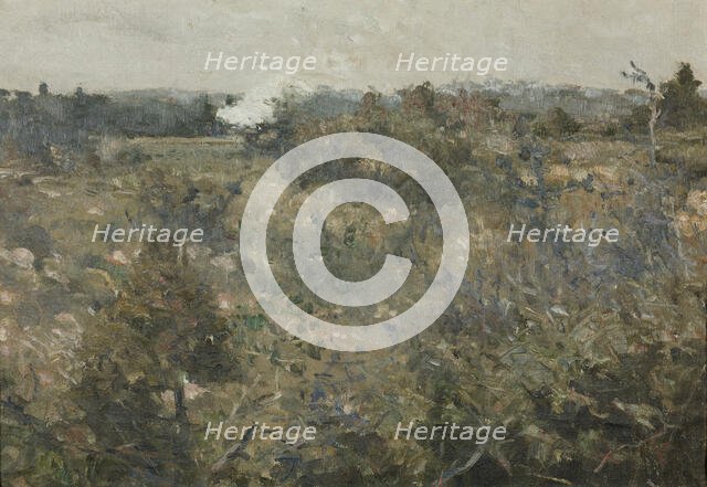 Landscape från Grez-sur-Loing. Study for NM 6809. Creator: Karl Nordström.