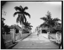 East Street, Nassau, Bahama Islds., c1901. Creator: William H. Jackson.