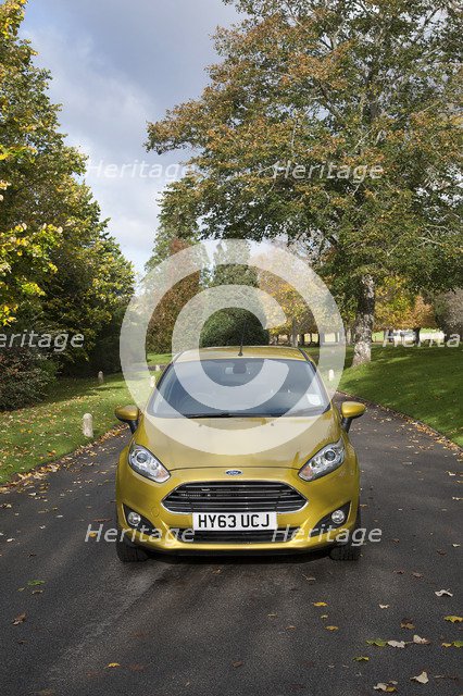 2013 Ford Fiesta Econetic Artist: Unknown.