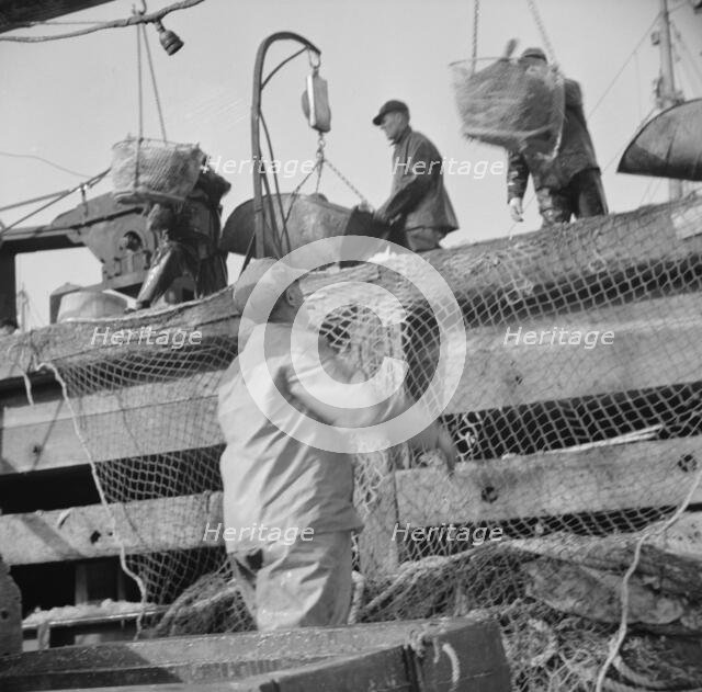 Dock stevedores at the Fulton fish market sending up baskets of fish..., New York, 1943. Creator: Gordon Parks.