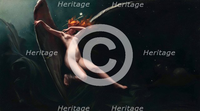 A Fairy Under Starry Skies, .