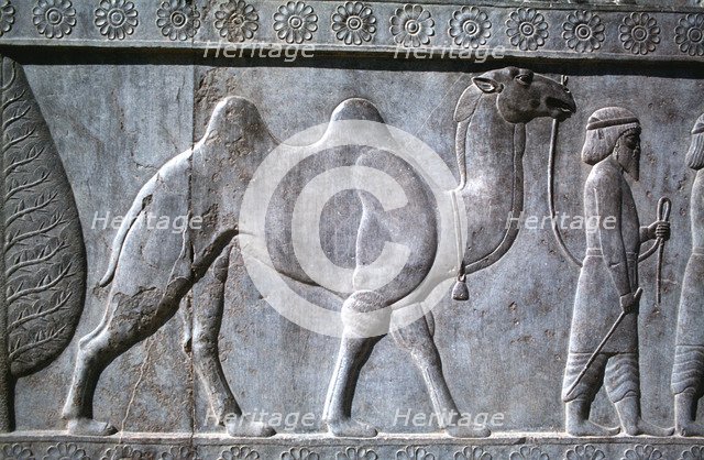 Relief of Parthians, the Apadana, Persepolis, Iran