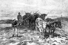 Ploughing on the Sussex Downs, 1881. Creator: William Michael Roberts Quick.