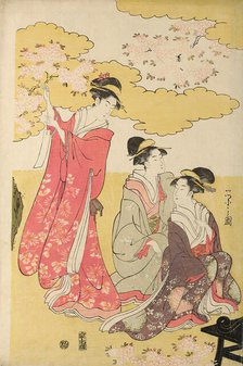 Noble woman in a carriage viewing cherry blossoms, c. 1796. Creator: Hosoda Eishi.