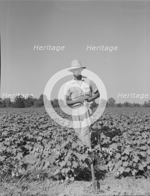 Sharecropper of the Mississippi Delta, Issaquena County, Mississippi, 1937. Creator: Dorothea Lange.