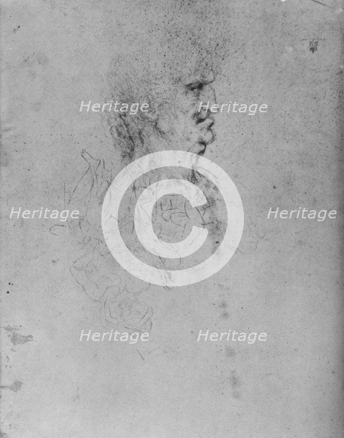 'Profile to the Right of an Old Man', c1480 (1945). Artist: Leonardo da Vinci.