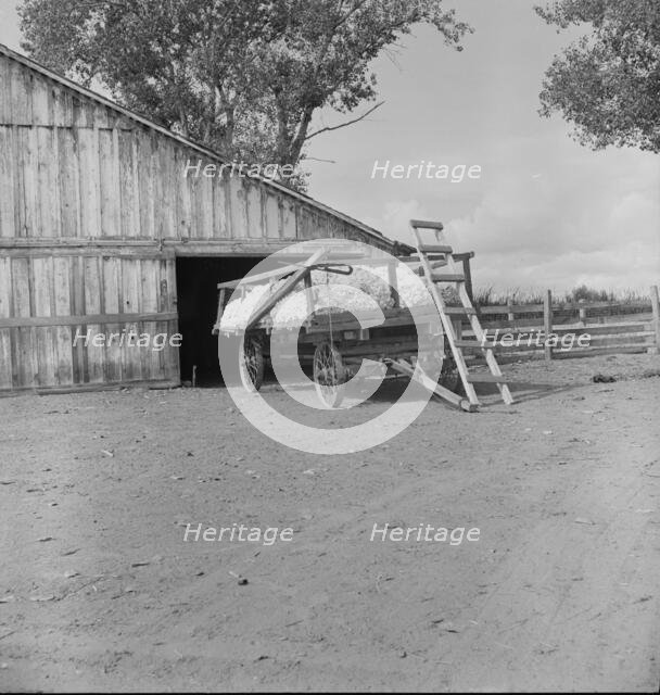 Yard barn and cotton wagon on small California cotton farm, Kern County, California, 1938. Creator: Dorothea Lange.