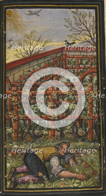 Illustration for The wonderful summer time of eternal life von Jacob Zader, 1603. Artist: Anonymous  