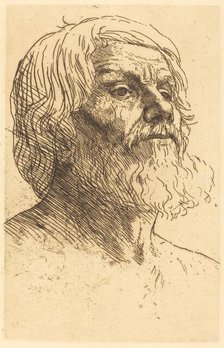 Head of a Man (Tete d'homme). Creator: Alphonse Legros.