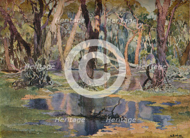 'Quindanning Pool', c1927. Artist: Archibald Bertram Webb.